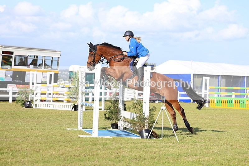 3E7A4368 - Class C: Showjumping Senior Foxhunter