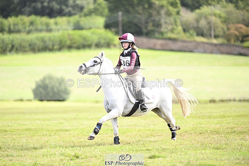 240825X-112622-32508 - 70cm XC 11.00 to 12.00