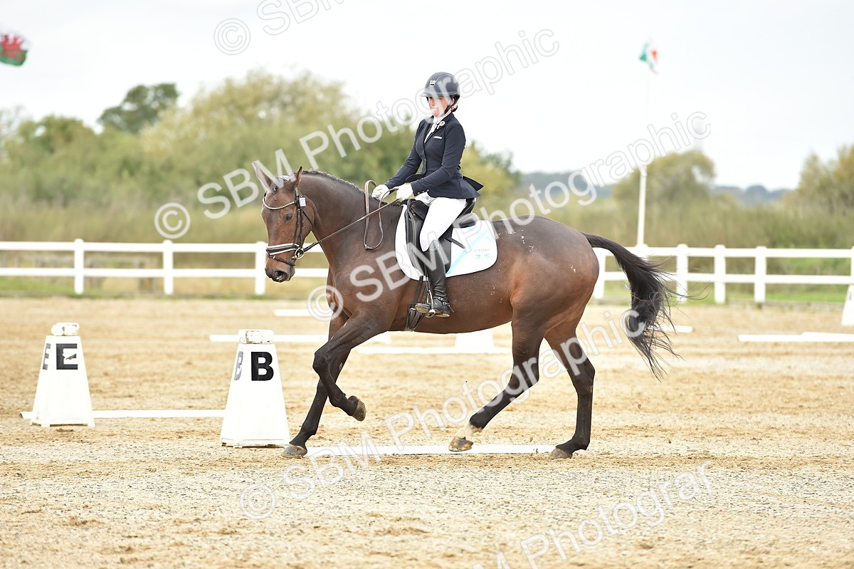 SBM_002474 - Novice 1
