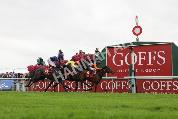 yr19082021r2-16 - Race 2 2.25pm Goffs UK Premier Yearling Stakes