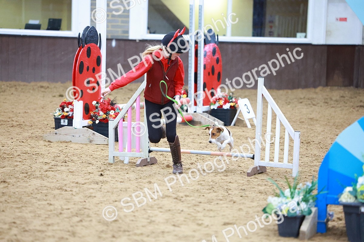 SBM_002105 - Class 3 - Horse & Hound (60cm)