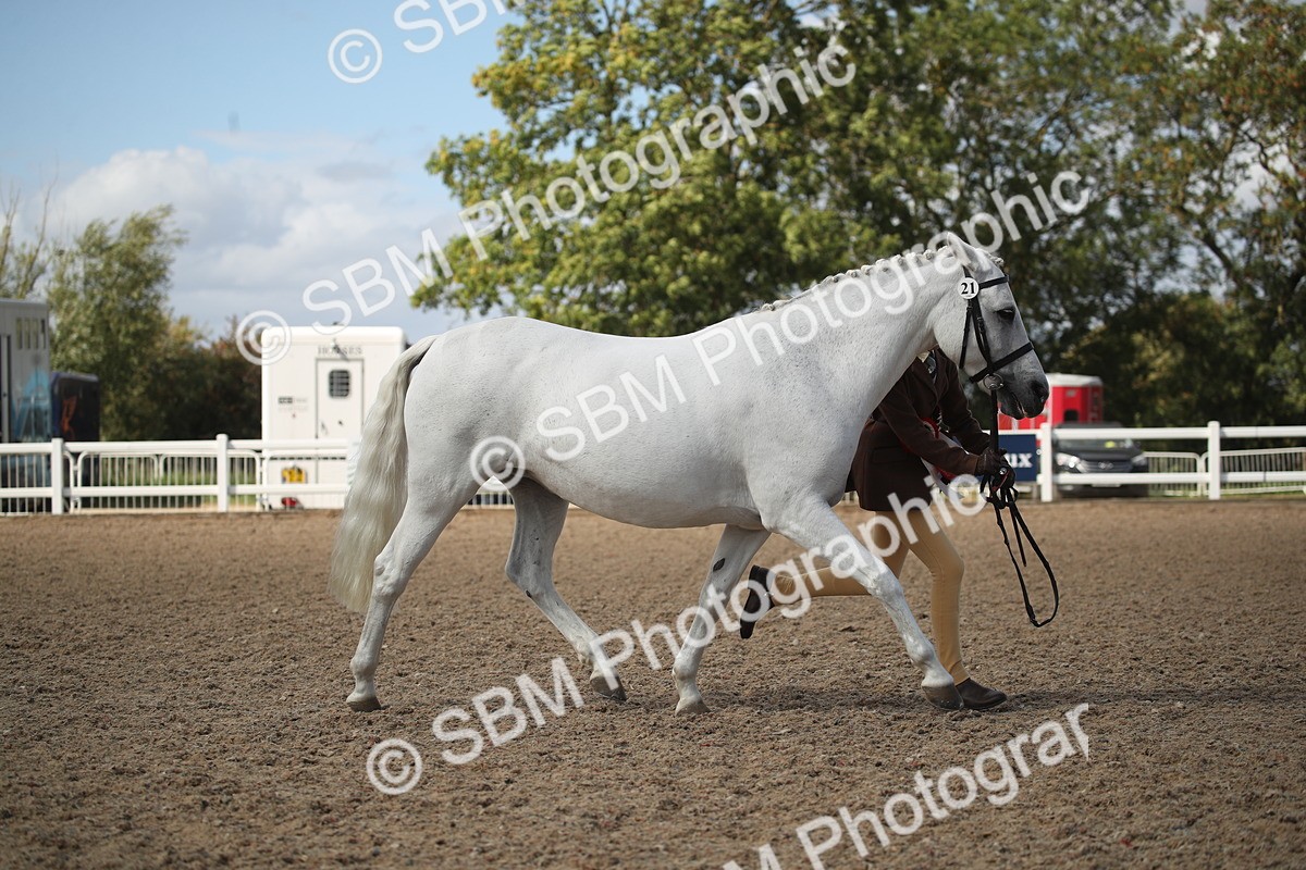 SBM_23592 - Class 605 - 2026 - Area - IH Veteran