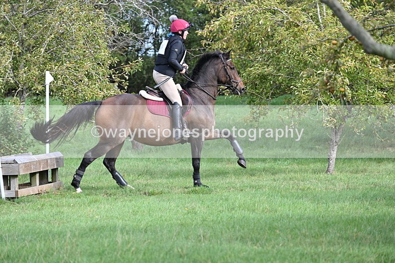 WJ7_8320 - 60cm Pairs