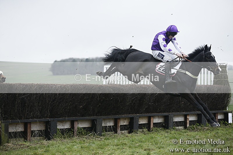 PtP 020418 -446 - Old Berks Point-to-Point Races Easter Monday 02/04/18