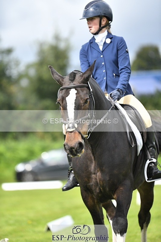 230826-111917-15824 - Sections C & D 10 to End