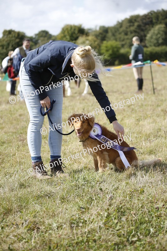 20250831-3692 - Dog Show