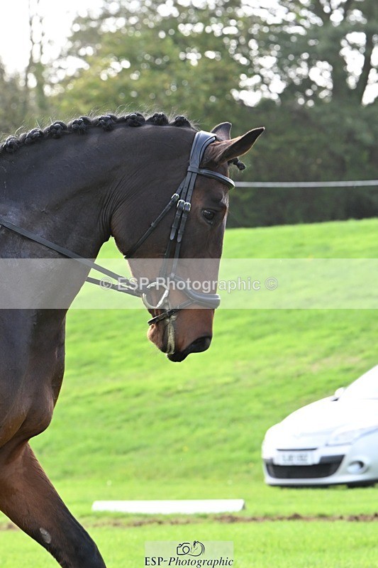 241025-150340-10168 - 459-Rachael.Hardman-I.M.ALL.YOU.WANT