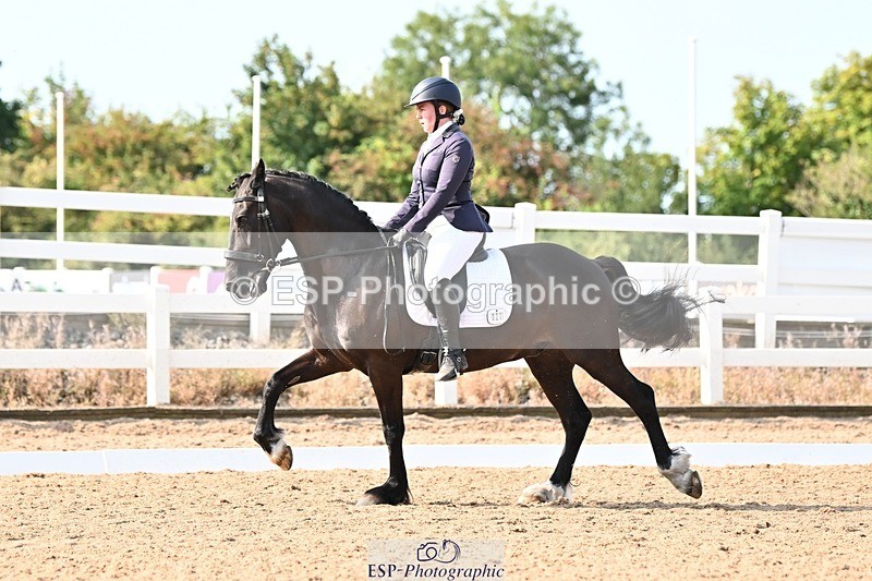 250815-095119-00221 - 027-Samantha.PringTongwynlais.Moon.Dancer