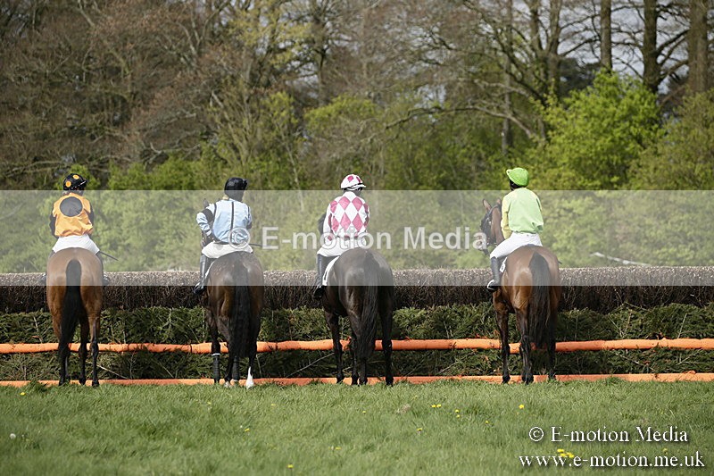 PtP 170417 265 - Old Berks Point-to-Point Lockinge 17/04/17