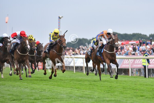 yr18082022r7-27 - Race 7 5.20pm British Stallion Studs EBF Fillies' Stakes