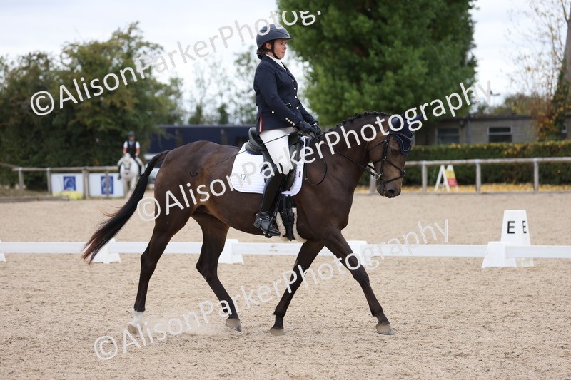 20250820-0882 - Class 16 - Novice 5