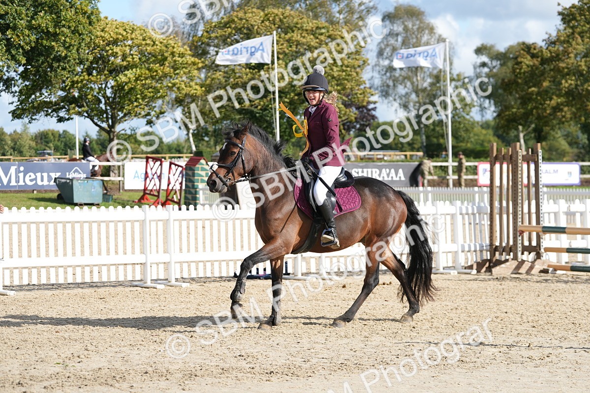 SBM_48639 - J7 - Junior Pony 60cm Championship