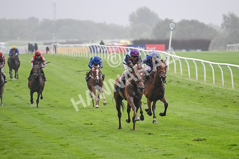 230725-Race 4-Brave Emerald-0190 - Race 4