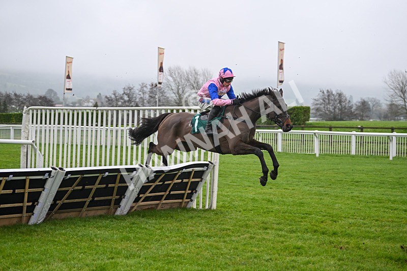 131224-Race 1-Country Mile-8560 - Race 1