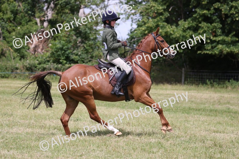 20260614-1877 - Class 21 - Novice Working Hunter Pony