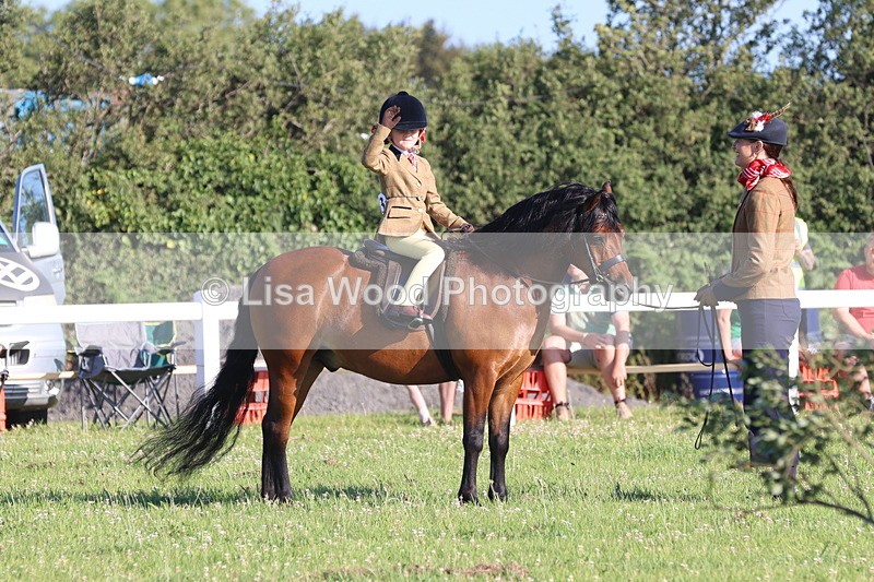 JPP_0747 - Class 16: Cornish Combination Leading Rein