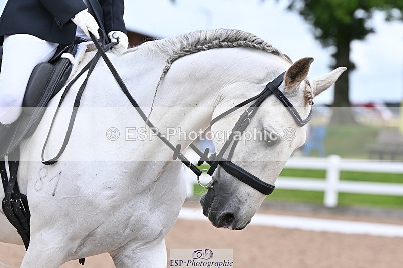 240622A-130210-10453 - Cls 29 BD Elementary 45