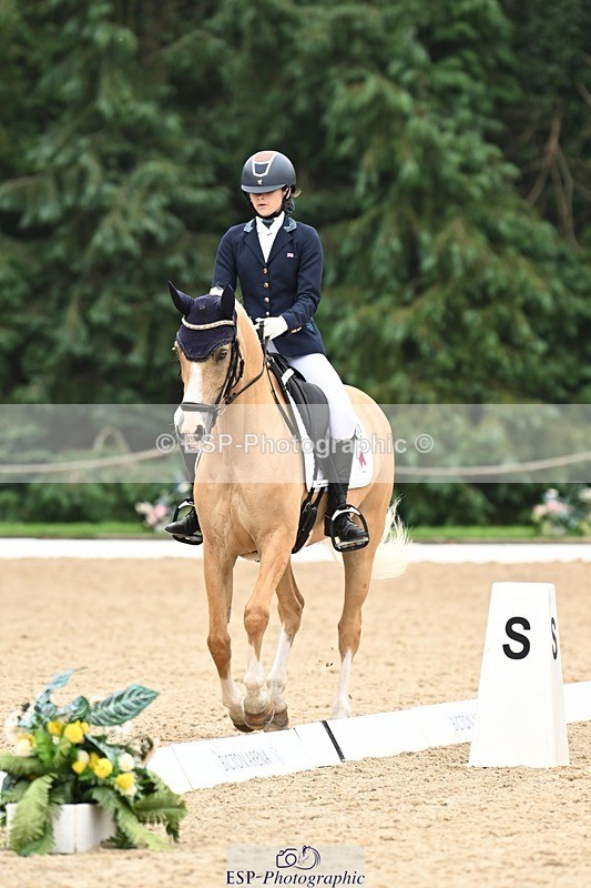 240811-122823-05834 - 301-Sophia.Longworth-Don.Deluxe