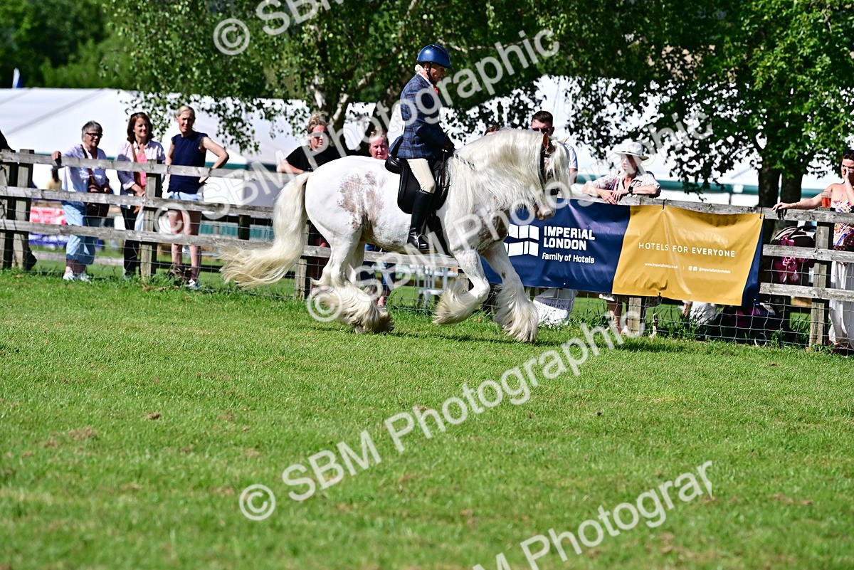 SBM_09379 - Class 63-65 - Traditional Gypsy Cobs In Hand & Ridden