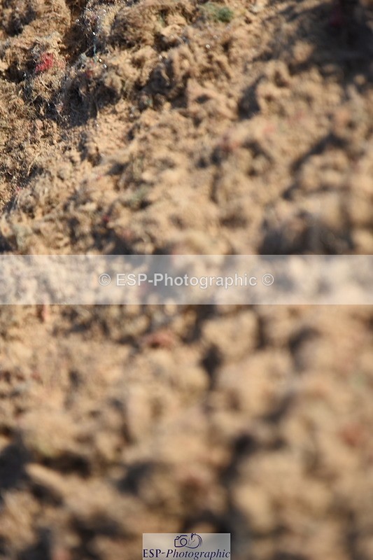 230915A-093246-00017 - Cls 8 85cm Amateur Qualifier