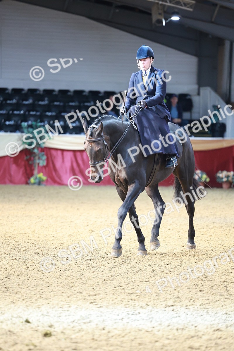 SBM_11941 - Class 102 - Equitation (Best Rider) Adult