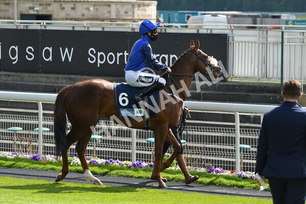yr13052021r5-3 - Race 5 3.40pm British Stallion Studs EBF Westow Stakes