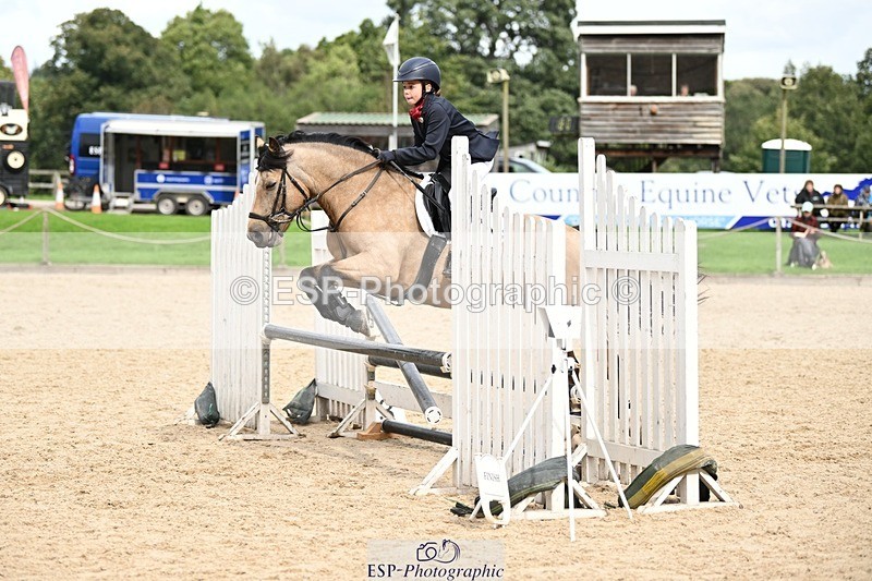 240929-113336-00441 - Cls 2 80-85cm Start to 12.05 CW