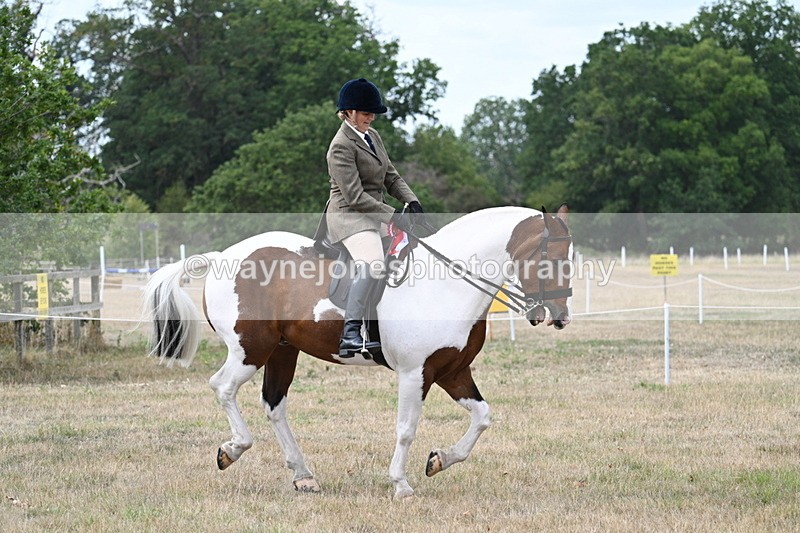 WJ7_5655 - Class 12 Ridden Cob
