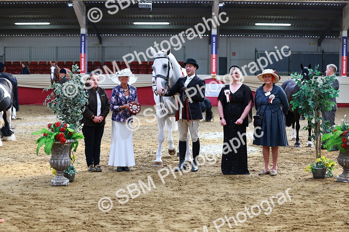SBM_23282 - Class 903 - Supreme Final - IH Pre Vet