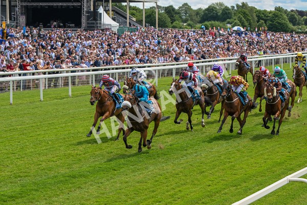 310525-Race 1-Ingleby Archie-8568 - Race 1 1.30pm William Hill Keep Your Raceday Positive Handicap