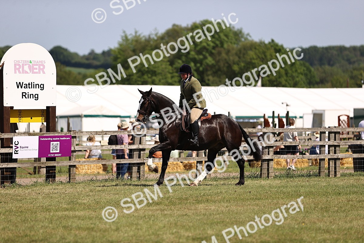 SBM_17919 - Class 81-83 - TSR Ridden Amateur of the Year - Horses