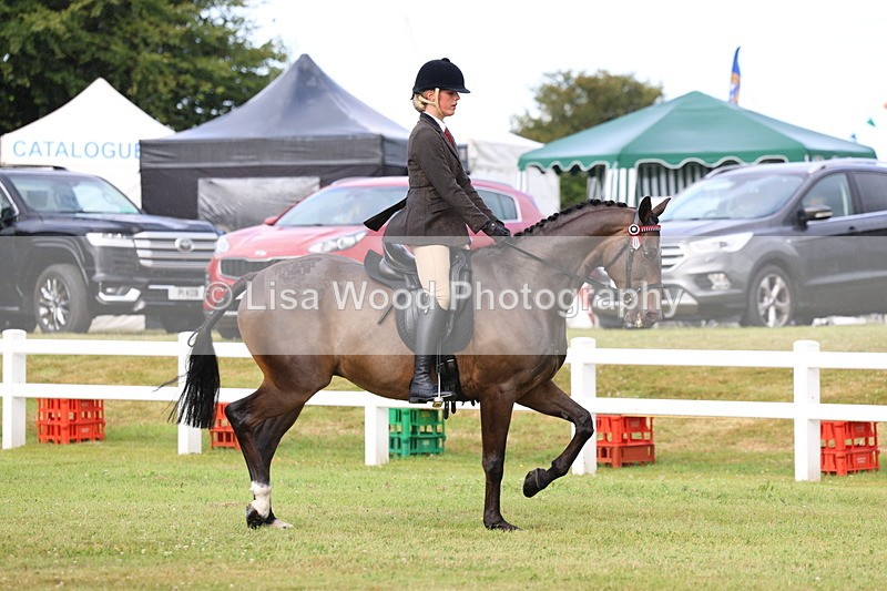 3E7A8000 - Class 2: Rising Star Large Hack/Riding Horse