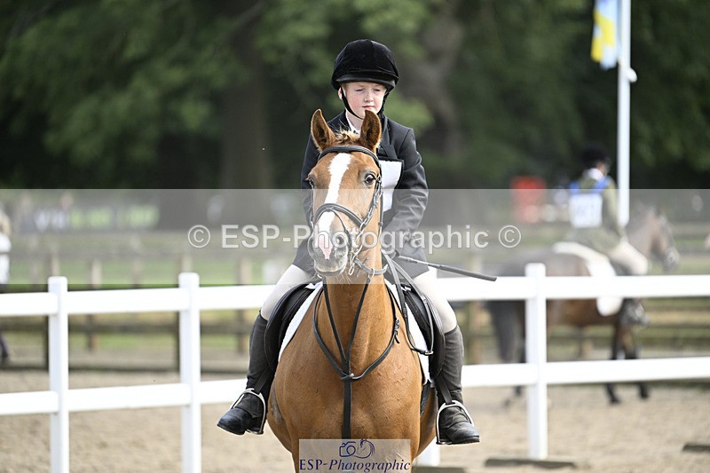 240823X-161103-19079 - 70cm R2 15.20 to 16.40