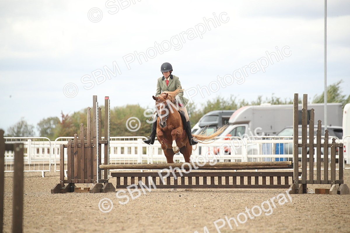 SBM_16755 - Class 507b - Working Veteran 60cm (20+)