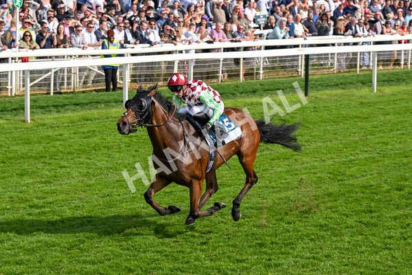 170524-Race 6-Riot-8527 - Race 6 4.45pm Yorkshire Equine Practice Handicap