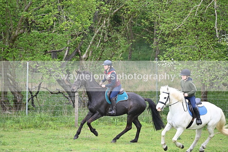 WJ6_3006 - A Camera