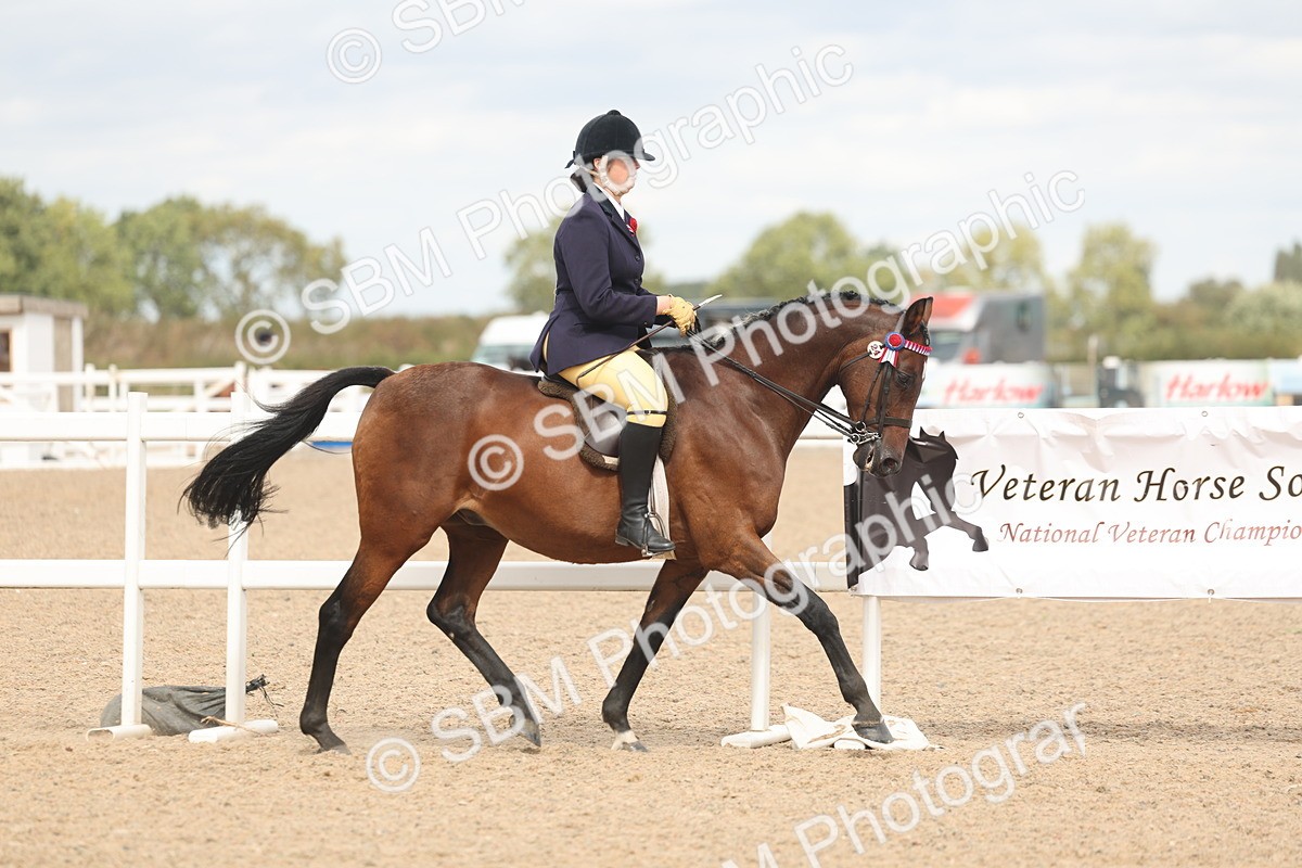 SBM_15969 - Class 311 - Ridden Show pony-Show hunter Pony