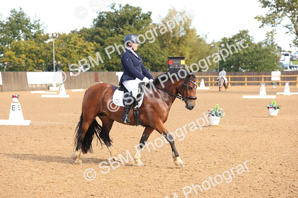 SBM_36771 - D18 - Grand Tour Championship Novice 2