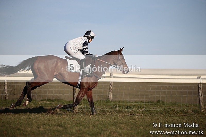 PtP 240218 674 - Vine & Craven Hunt Point-to-Point Barbury racecourse 24/02/18