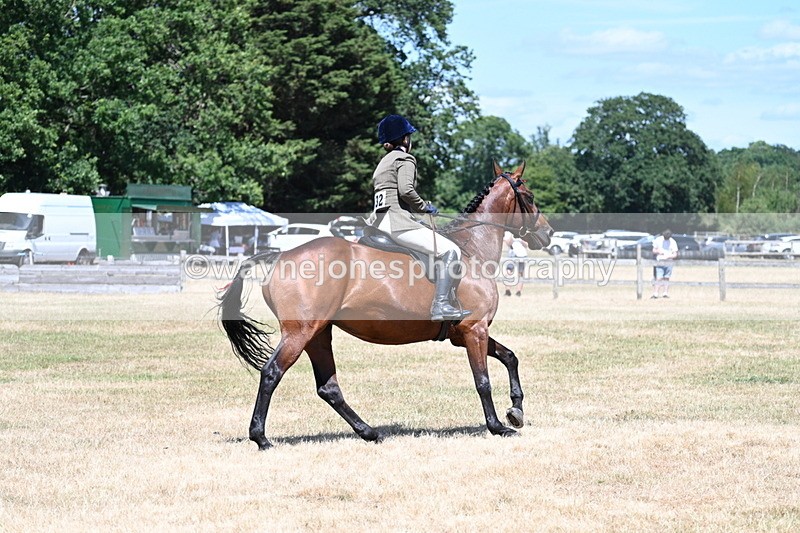 WJ7_3098 - Class 7 Riding Club Show Horse