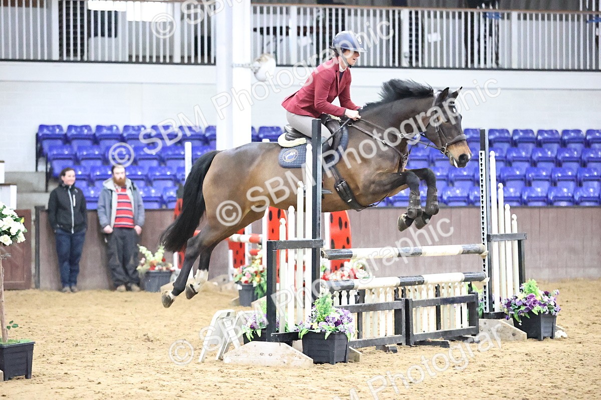 SBM_001501 - Class 8 - Senior British Novice - 90cm