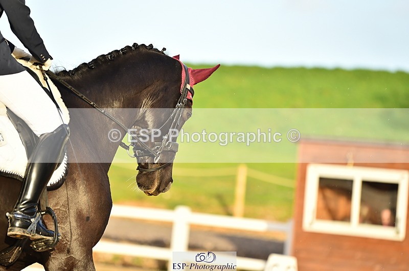 231104A-151706-02308 - Cls 14 Adv Medium 98