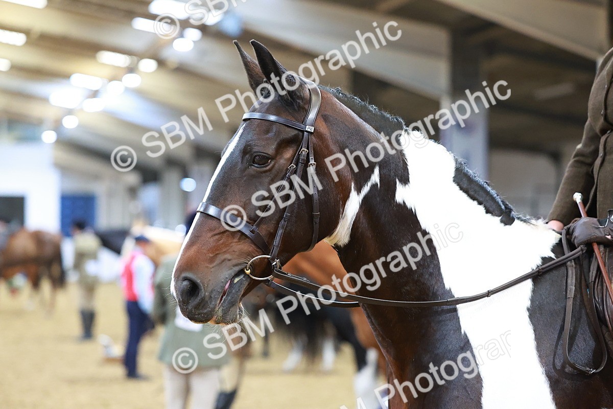 SBM_09757 - Class 102 - HOYS Veteran Qualifier - Ridden Veteran