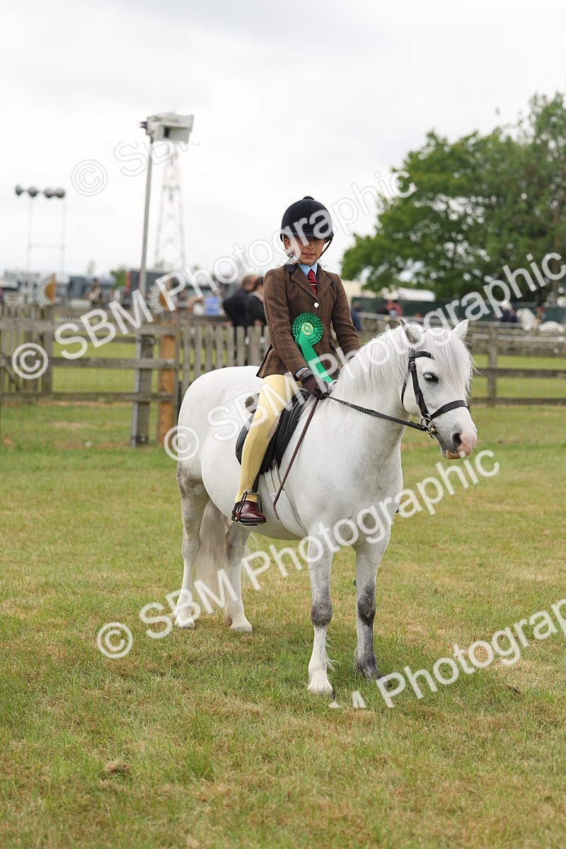 SBM_06908 - Class 74-75 - M&M Lead Rein and First Ridden Pony