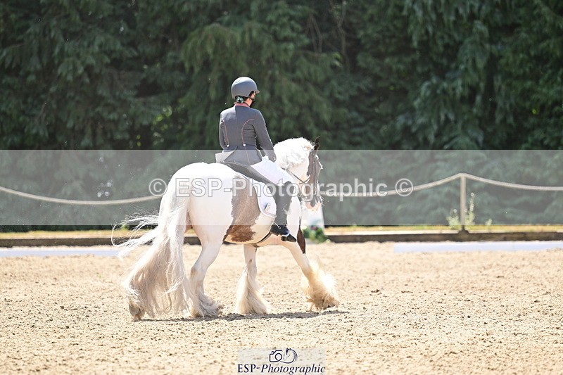260802A-123326-06269 - Novice Silver break- end
