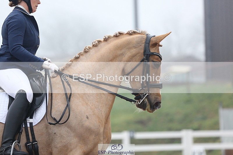 240217A-123511-02914 - 274-Clare.Smith-Dori.Dragon.Fly