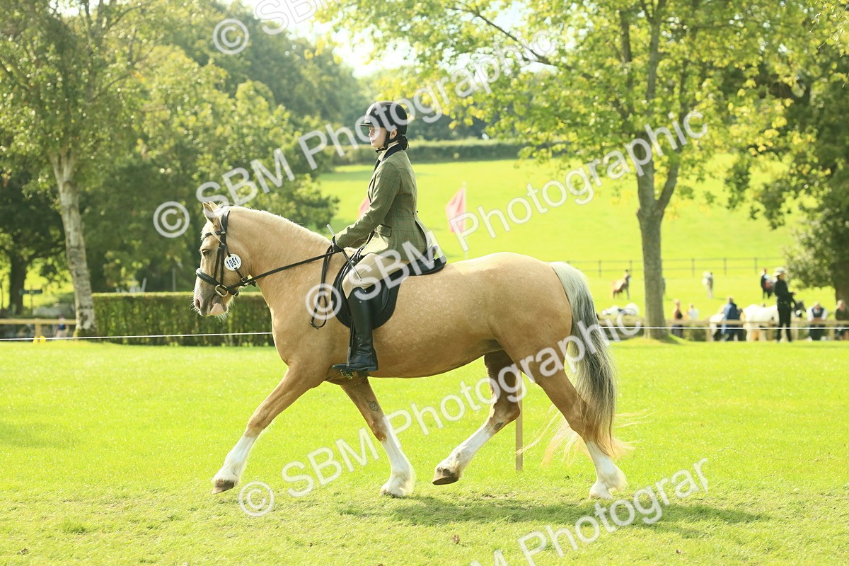 SBM_62653 - S63 - Other Coloured Horse Ridden