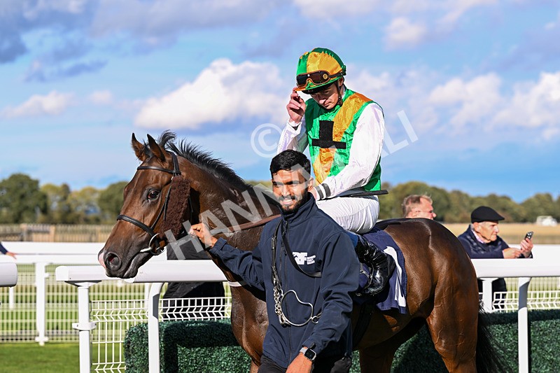 170925-Race 5-Hashtagnotions-5519 - Race 5