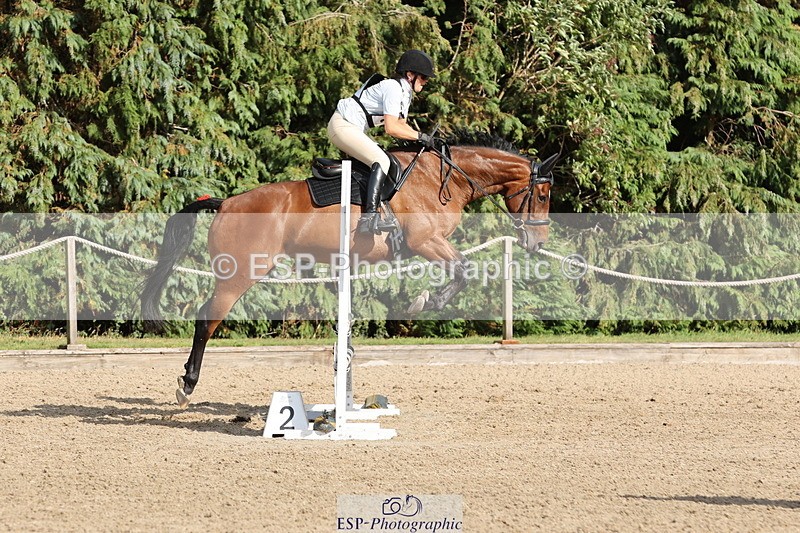 250803A-172120-17831 - R-825-Helen.Buckland-LIVERMORES.MIDNIGHT.DIAMOND