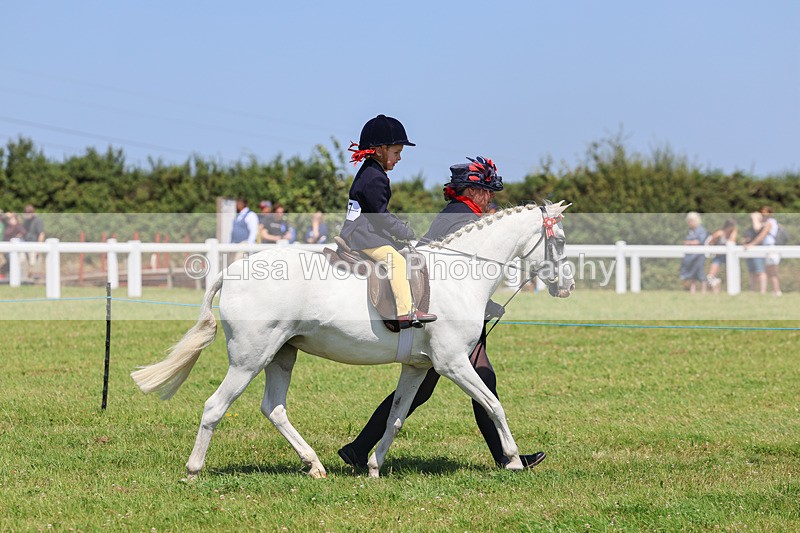 IMG_2520 - Class 38: Veteran Ridden